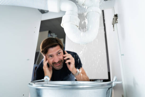 Best Plumbing Repair Near Me  in Fox Lake, IL